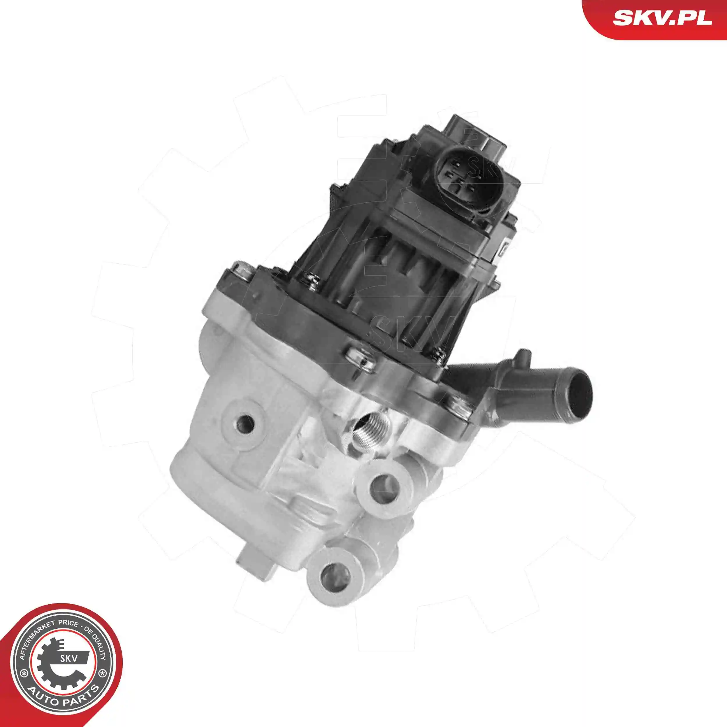 EGR Valve